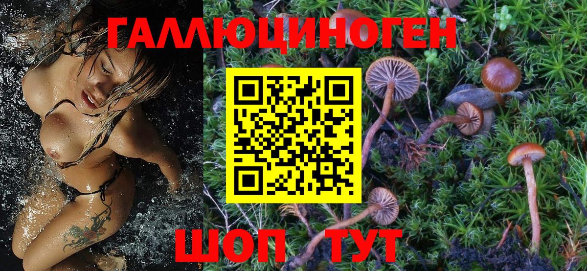 Галлюциногенные грибы MAGIC MUSHROOMS Гудермес
