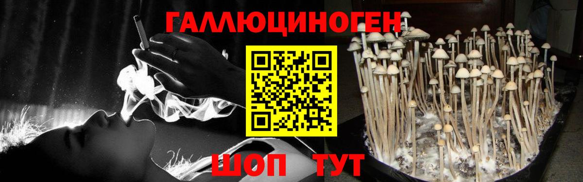 Гудермес  Псилоцибиновые грибы мухоморы  Вход с VPN 